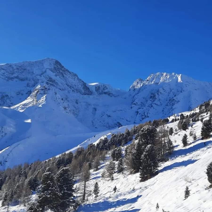 Le Panorama - Appartement 54 A Arolla Face Aux Montagnes A 150M Des Pistes Evolène المظهر الخارجي الصورة