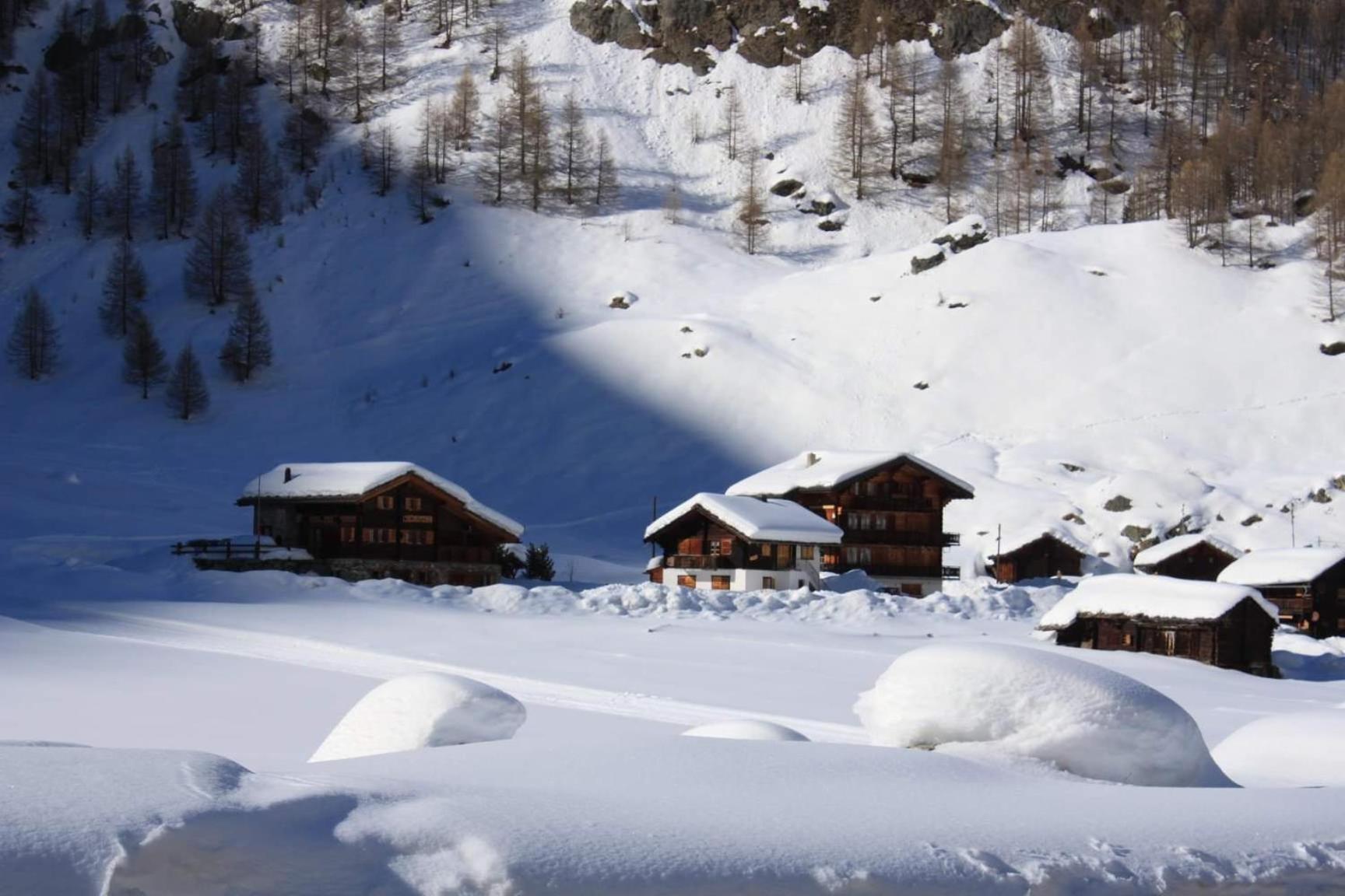 Le Panorama - Appartement 54 A Arolla Face Aux Montagnes A 150M Des Pistes Evolène المظهر الخارجي الصورة